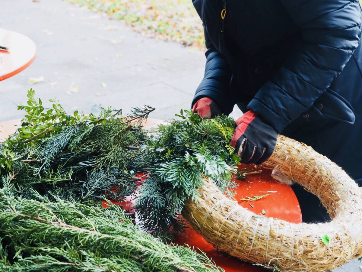 Adventskranz binden im Wald - Albvereinsplatz - 23.11.2024